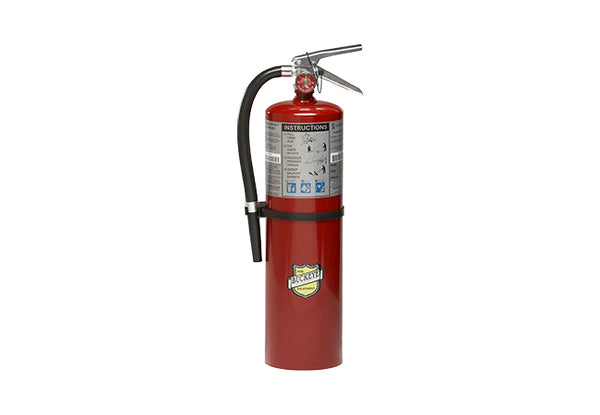 Buckeye Fire Dry Chemical Extinguishers