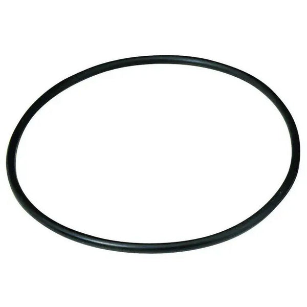 Culligan INT 2-Pack O-Ring for HF-150A, HF-160, HF-360A - DIY
