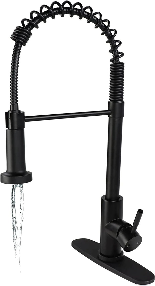 Empire Faucets RV Kitchen Sink