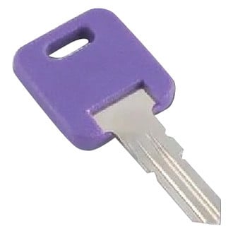 AP Products Global Replacement Key 302
