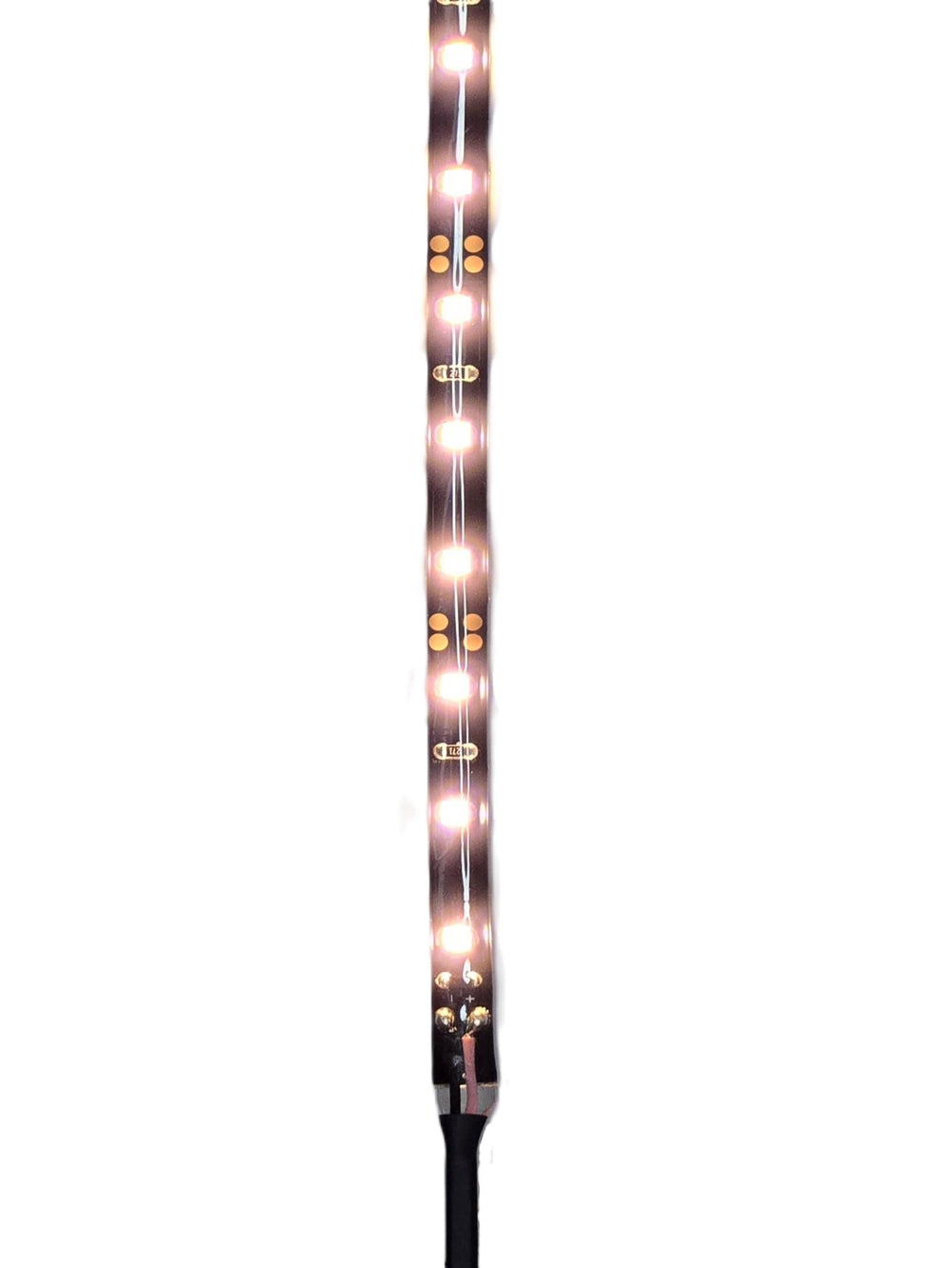 Carefree/ Carefree RV LEDs, 25OOK, 60LPM, 5M, 8"LD