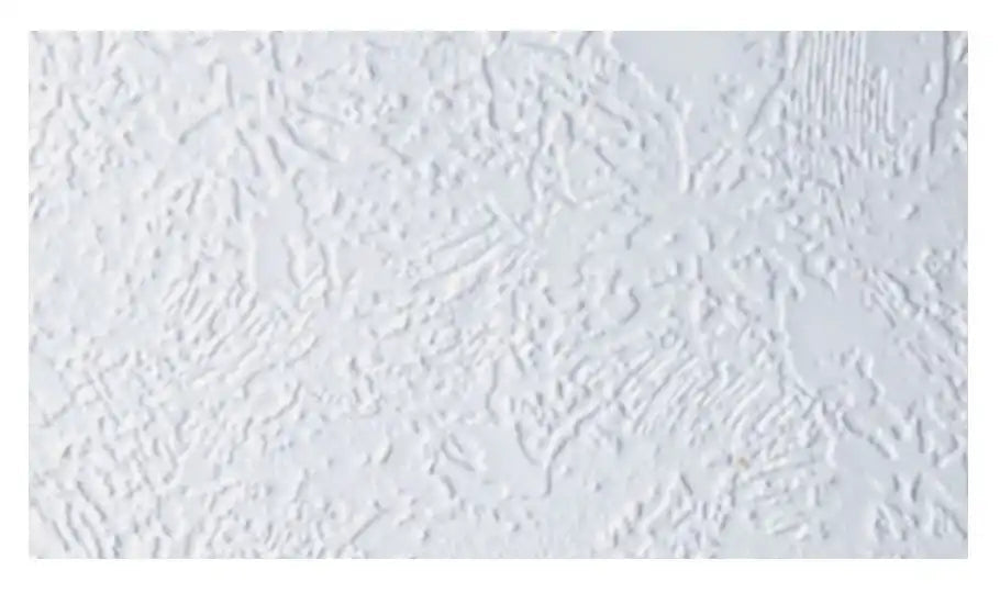 GENESIS PROD Pebble White 100' Ceiling Kit