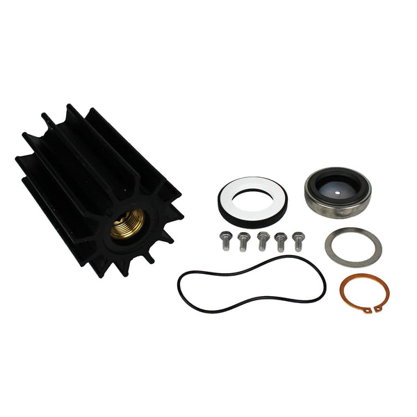 Johnson Pump 09-46599-1 Repair Kit