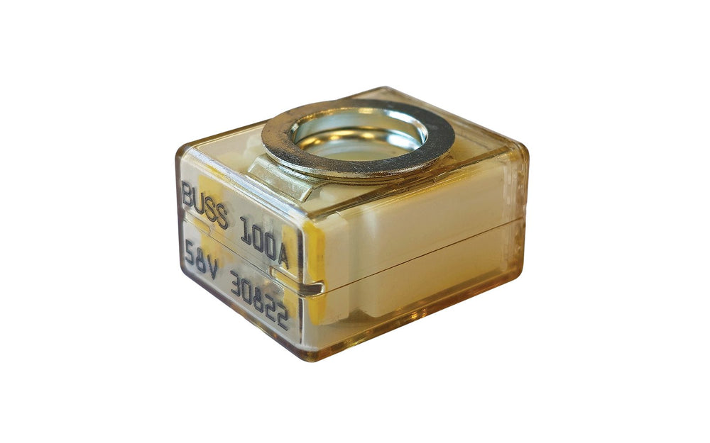 Samlex America 100 Amp Replacement Fuse