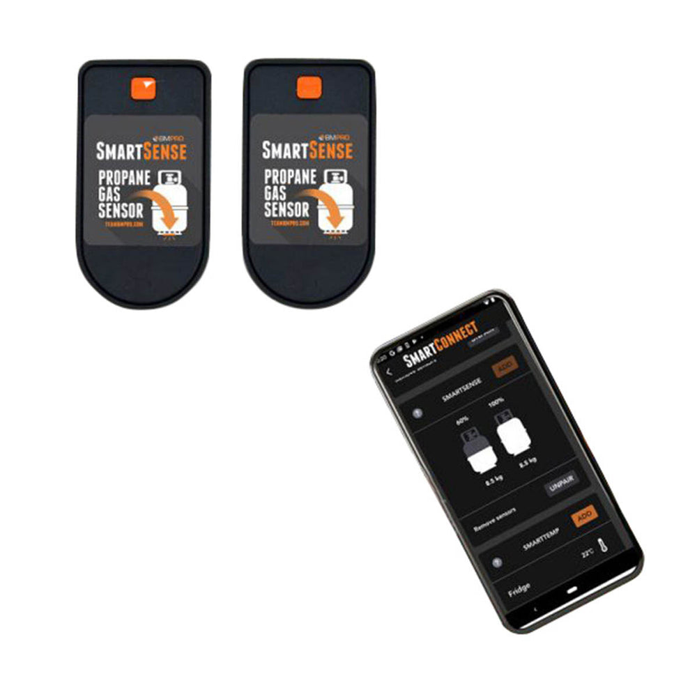 BMPRO RV Monitoring system
