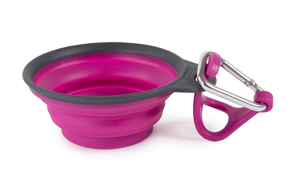 Dexas Travel Cup With Bottle Holder & Car PW2204322405