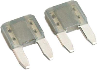 Dometic - 2A Fuse