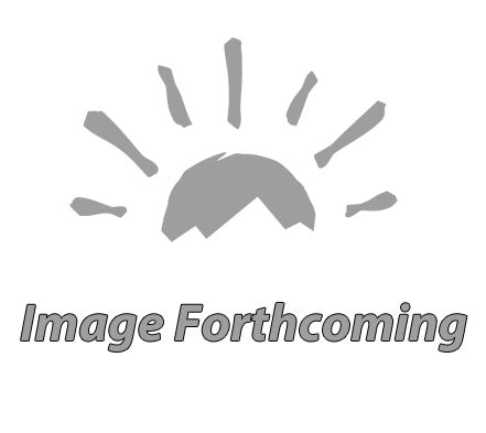 MOTOR, 110V – Mirage, Apex, Paramount